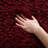 Delane Area Rug-804067414-700358680