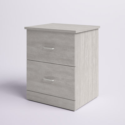 Allyannah 23.6" 2-Drawer Nightstand