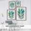 Palm Frond Flow II, reproduction encadrée - bois massif-628352706