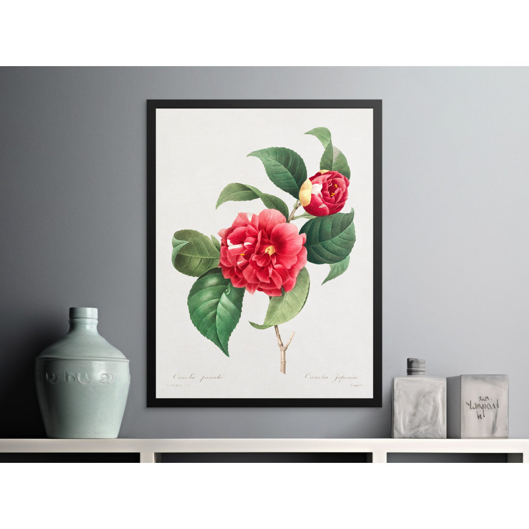 No Frame Print