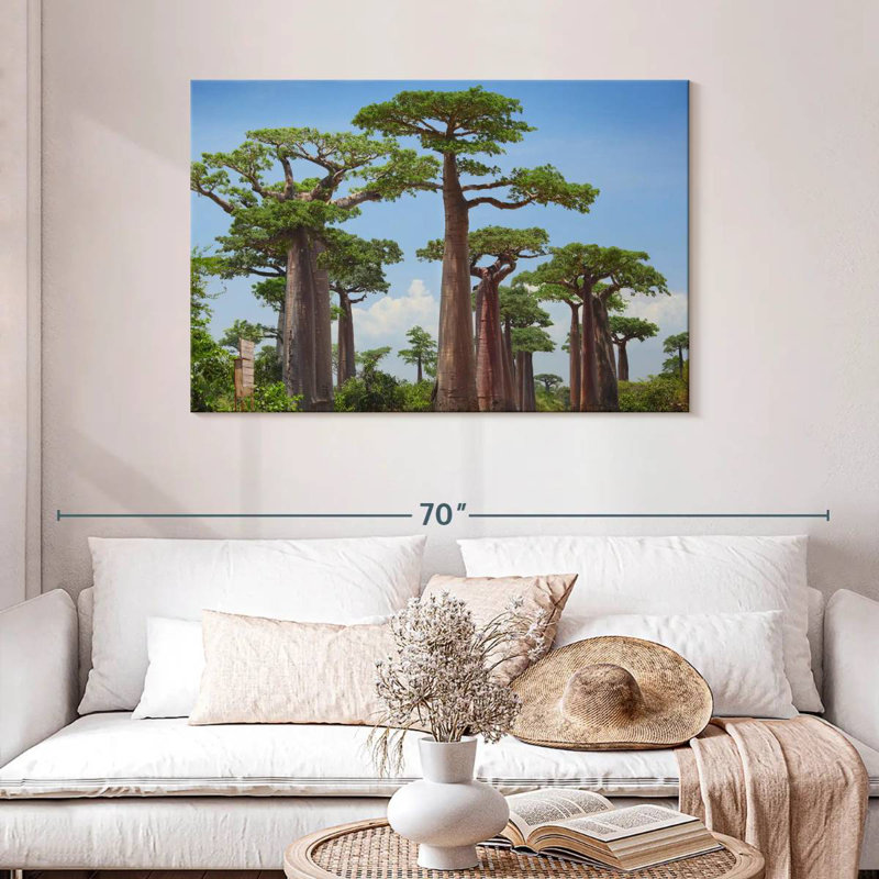 Réserve Harnek Baobab, H 30 po x l 45 po