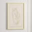 Male Nude 4' Framed Print on Glass