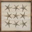 Étoiles de mer blanchies à la chaux-1579240407