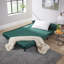 Lonara Two Seater Upholstered Double Sofa Bed-1420313415