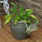 Chalet 9.5" x 9.5" x 8" Round Ceramic Outdoor Planter 2-Count - Imperial Blue-765208648-765246697