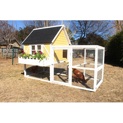 23.4 Square Feet with Chicken Run