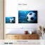  «But en soccer»-1202924655