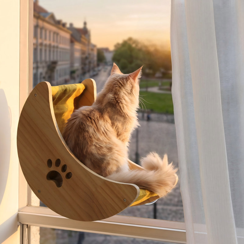 Lit-hamac pour chat avec ventouses robustes, lit pour chat peu encombrant, tablette lune polyvalente pour bureau ou fenêtre
