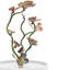 Butterfly Branch Cloche