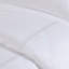 Ensemble d'édredon brodé en satin de coton 100% très grand / très grand californien-117487254-117487256