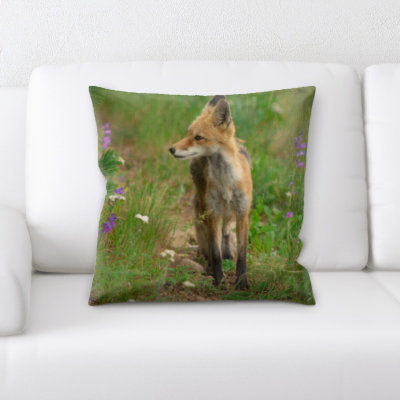 Coussin de fox