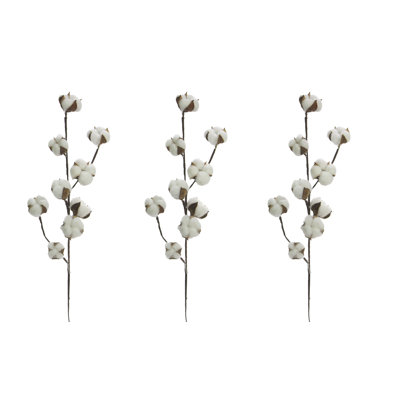 Cotton Arrangement