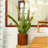 7.8 In. Dark Wood Plastic Self-Watering Planter Pot