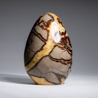 Polished Septarian Freeform from Madagascar (2.3 Lbs)