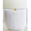 Cenotes Table Lamp-104953613