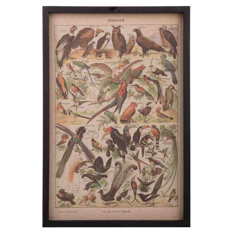 Single Picture Frame Print