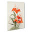 Magnolia Flowers Illustration Tab. 15 by Frederick Sander - Wrapped Canvas Print-55308813