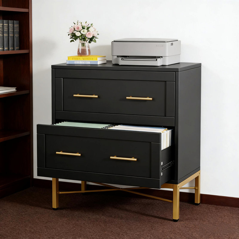 Sleek Design Storage Organizer Cabinet Office File Cabinet Durable Storage Cabinet, Black