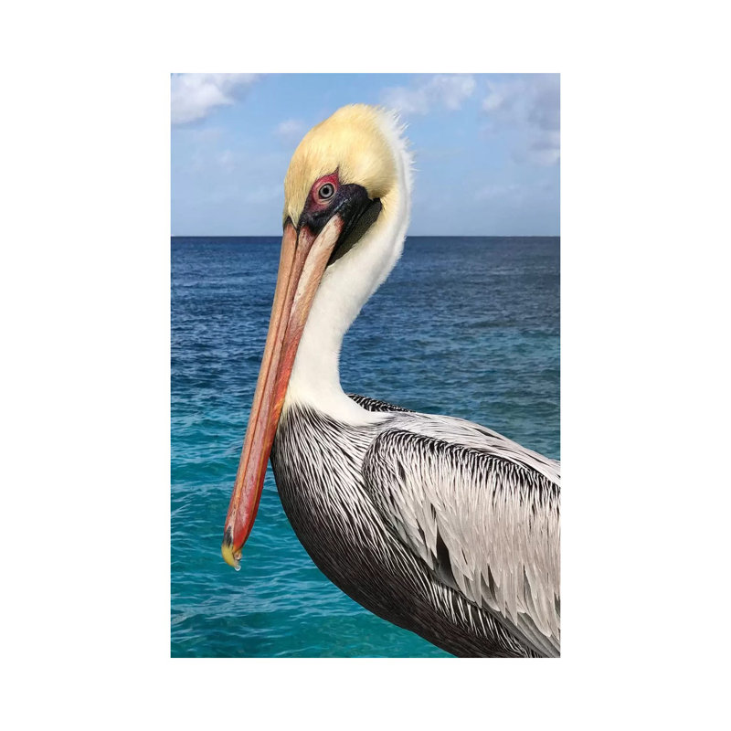 Pelican by Julie Derice - Wrapped Canvas Print, 66.04 cm H x 45.72 cm W