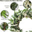 Couronne de porte avant - vert et blanc - eucalyptus artificiel 20 po avec baies blanches, style maison de campagne, intérieur / extérieur, paquet de 1