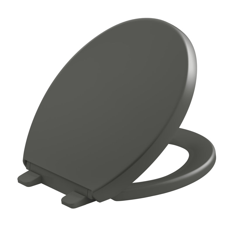 Reveal Quiet-Close with Grip-Tight Toilet Seat, Thunder Grey, Round