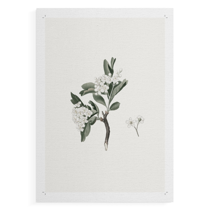 Imprimé floral rétro CLxxxv - impression sur toile seulement - non encadrée, H 18 po x l 12 po
