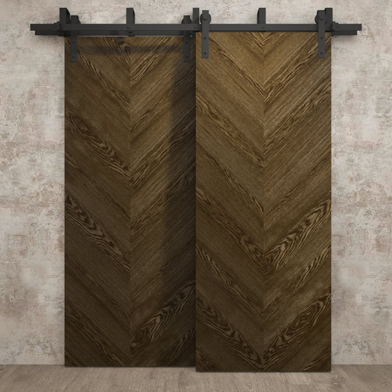 Portes coulissantes de grange coulissantes pour garde-robe | Ego 5005 | Ensemble de quincaillerie Modern Rails | Portes de garde-robe de chambre en bois massif