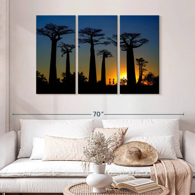 Harnek Dusky Baobab Trees