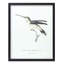 Reproduction d'oiseau encadrée (ensemble de 5) -85035DS