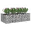 Planter-1473495516