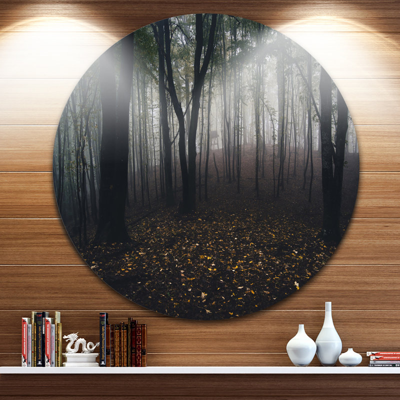 «Dark Spooky Misty Wild Forest», reproduction de photo, H 23 po x l 23 po x P 1 po, H 36 po x l 36 po x P 1 po