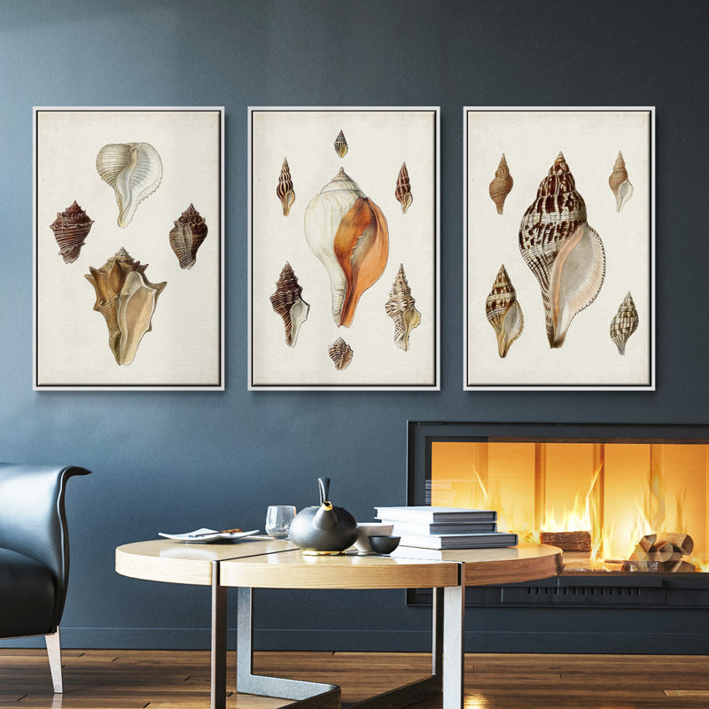 Sowerby Shells IV, ensemble de 3 toiles encadrées sur toile, H 36 po x l 72 po, Blanc