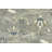 Floral Handmade Hand-Knotted Rectangle 11'10" x 14'10" Wool Area Rug in Taupe