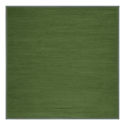 Machine Washable Solid Green Area Rug
