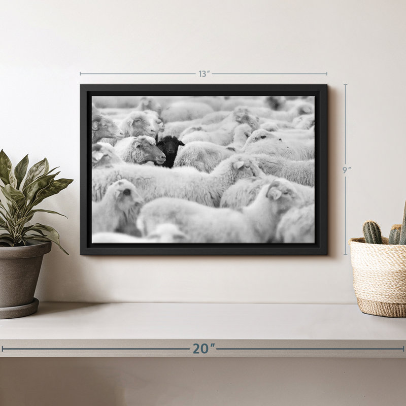 Animal «Mouton noir distinct», H 9 po x l 13 po