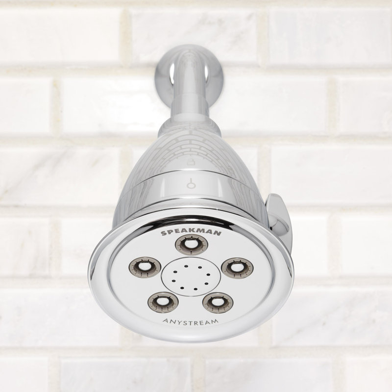 Polished Chrome Adjustable Shower Head with Filter and Jet Spray