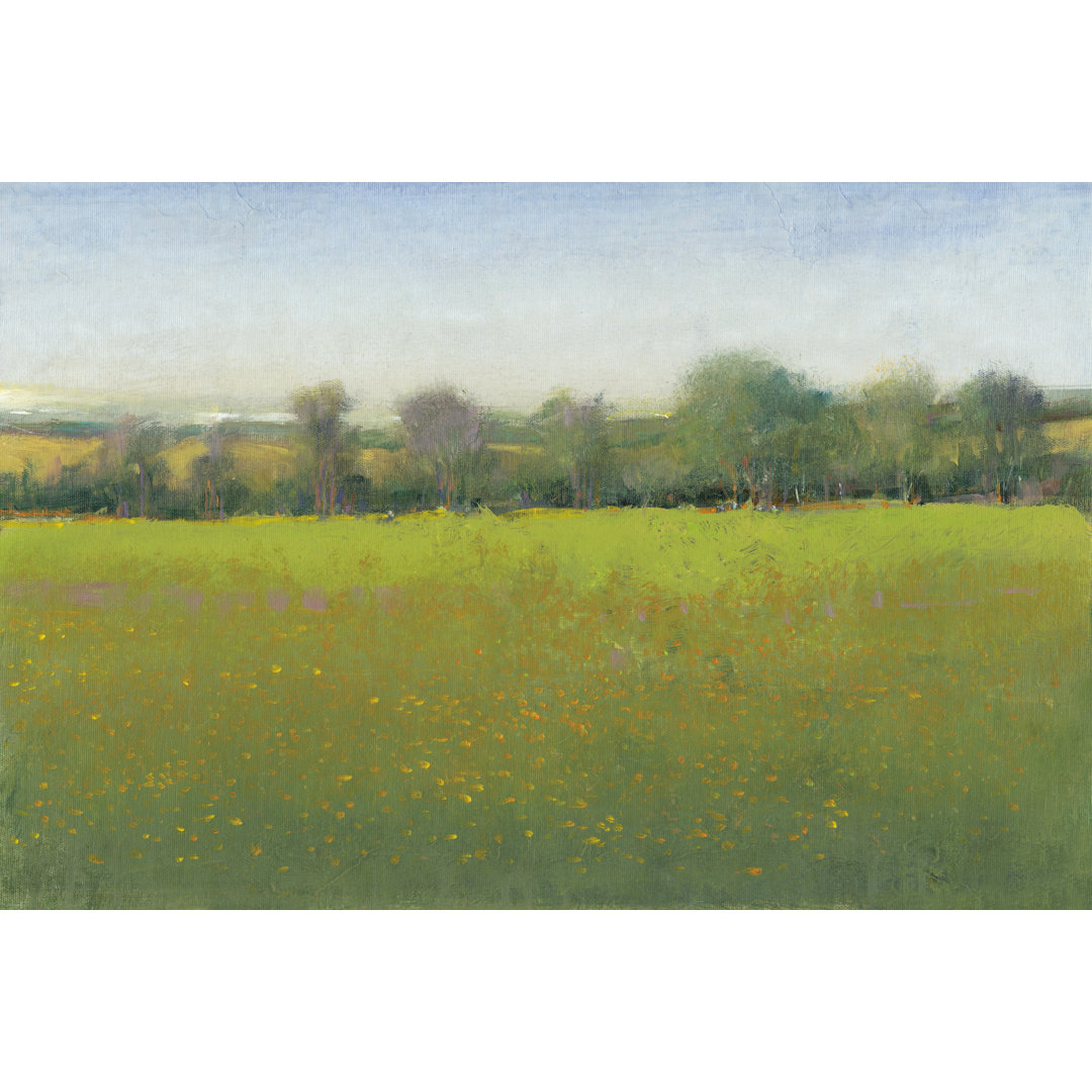 Leinwandbild Verdant Countryside I von Tim O'Toole