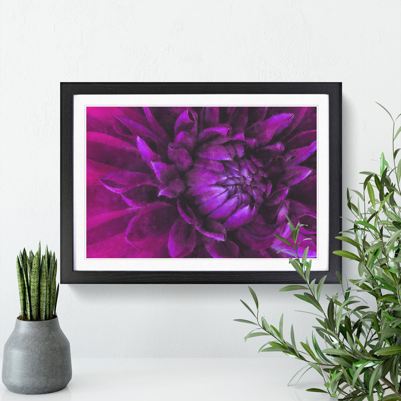 Purple Flower Vol.1 - Framed Print, 36cm H x 48cm W x 2cm D, Black Framed
