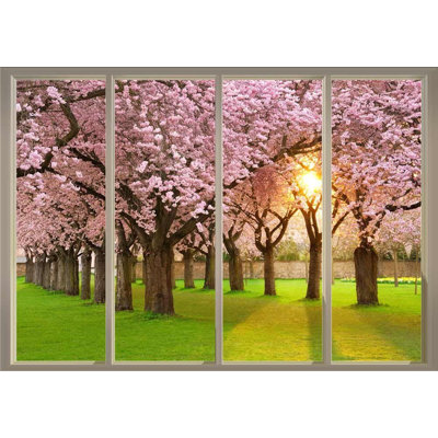 Sun Shining Through Rows Of Pink Cherry Blossom Trees