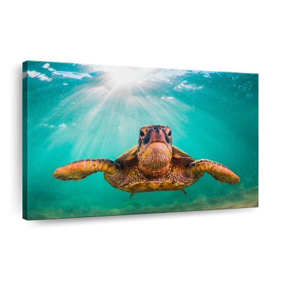 Tortue verte de Maui sur toile