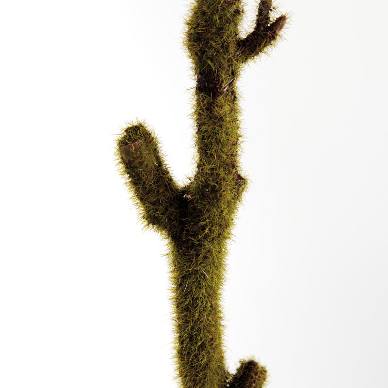 BRANCHES MOUSSE 24 po, ENSEMBLE DE 2