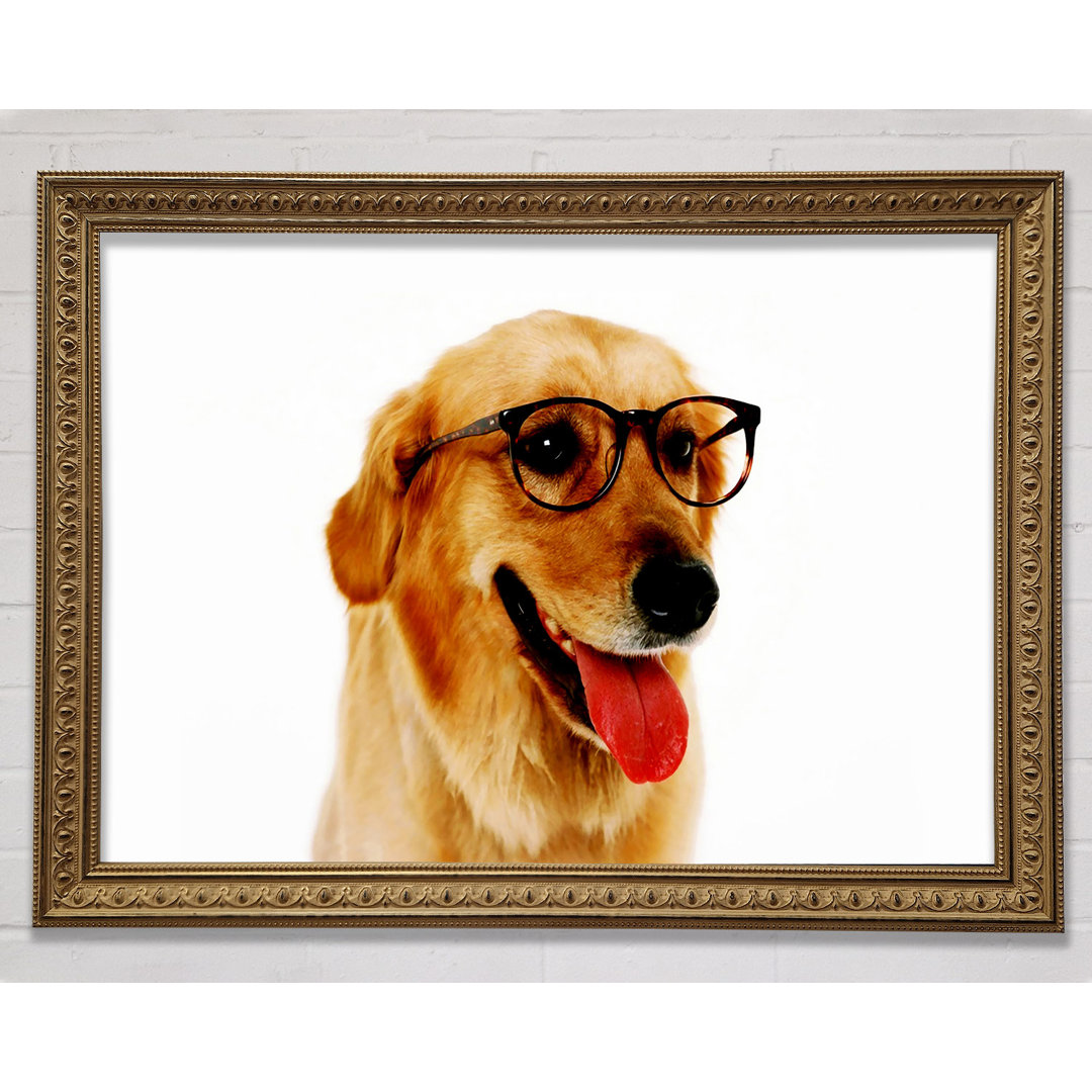 Golden Retriever Nerd Gerahmter Druck