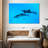 Brampt Maui Spinner Dolphins-108815034