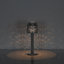 Caymon Solar-Powered Garden Stake Lights