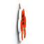 Gruia Wall Decor