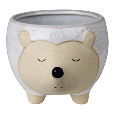 Cache-pot Alinuswe