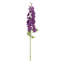 Delphinium - 35.5 Inches Box of 12-856190679