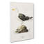 Great Black-Backed Gull by Von Wright - Wrapped Canvas Painting-55314147