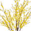 Arbre Forsythia 6 pi