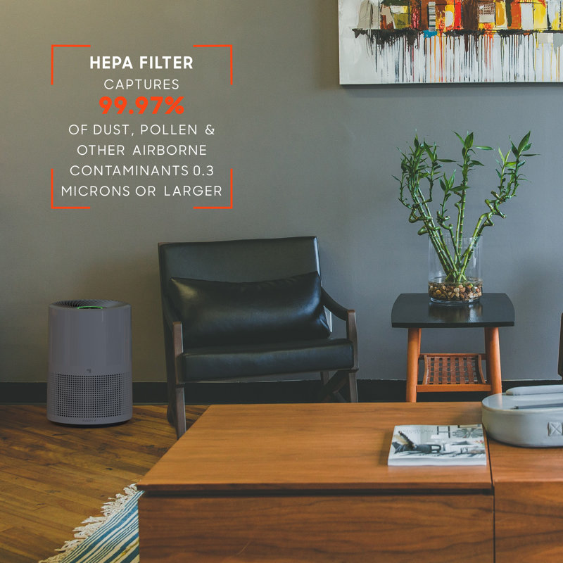 Gray HEPA Air Purifier with Odor Absorbing Filter